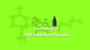 Cannibidiol-CBD-Selection-Process